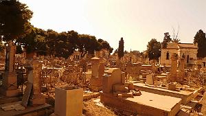 VOYAGE EN ORANIE DU 15 AU 22 SEPTEMBRE 2017 (70)